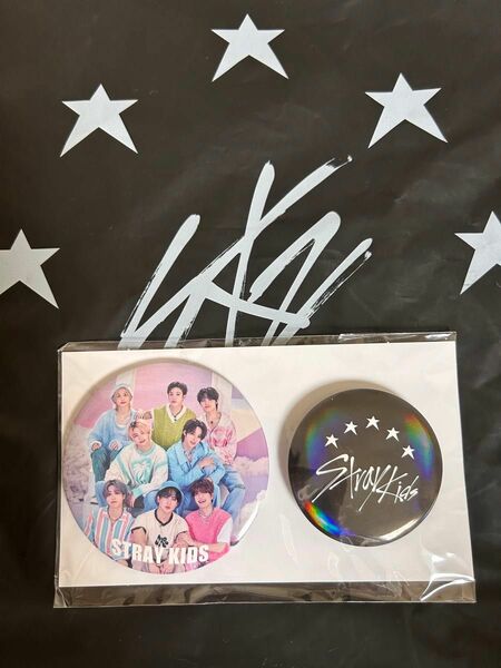 StrayKids スキズ 5-STAR DOME TOUR 2023 ドームツアー 缶バッジ