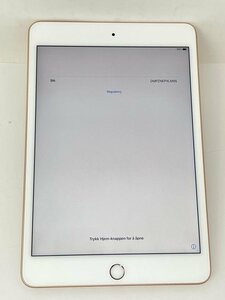 U113【動作確認済】 iPad mini 第5世代 64GB Wi-Fi ゴールド