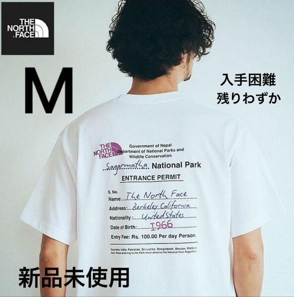 THE NORTH FACE BACK GRAPHIC PRINT 新作　ノースフェイス　Tシャツ　グラフィック　バックプリント