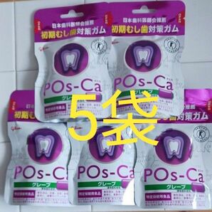 グリコ POs-Ca成分配合ガム ポスカ グレープ　5袋