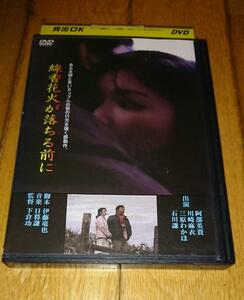  阿部英貴,×川崎麻衣,主演　「DVD」　●線香花火が落ちる前に　（2008）　レンタル落ちDVD