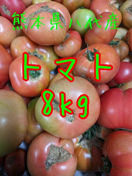 熊本県八代産　トマト8kg