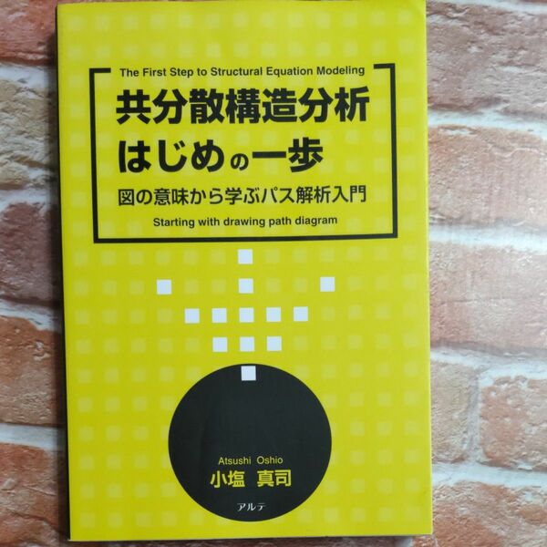 共分散構造分析はじめの一歩　図の意味から学ぶパス解析入門 小塩真司／著