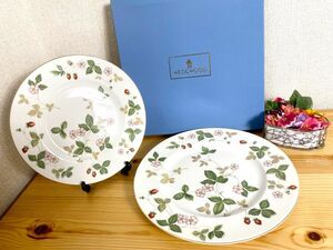 未使用品！ウェッジウッド WEDGWOOD ワイルドストロベリー 洋食器 プレート 中皿　大小　2枚セット 2枚組