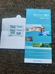 西武ホールディングス 株主優待 西武鉄道 優待冊子と乗車券2枚のセット