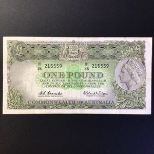 World Paper Money AUSTRALIA 1 Pound[1961-65]