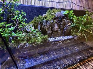  water current .. terrarium aquarium all glass 60 centimeter aquarium 