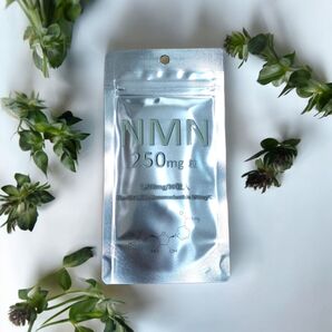 セール NMN 7500mg 1個 エイジングケア 高級 疲労回復 新品
