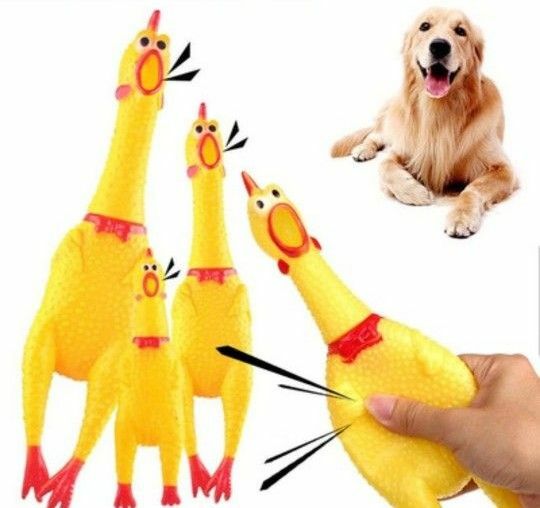犬用　おもちゃ　ブーブーチキン　音が鳴るおもちゃ　犬のおもちゃ　びっくりチキン