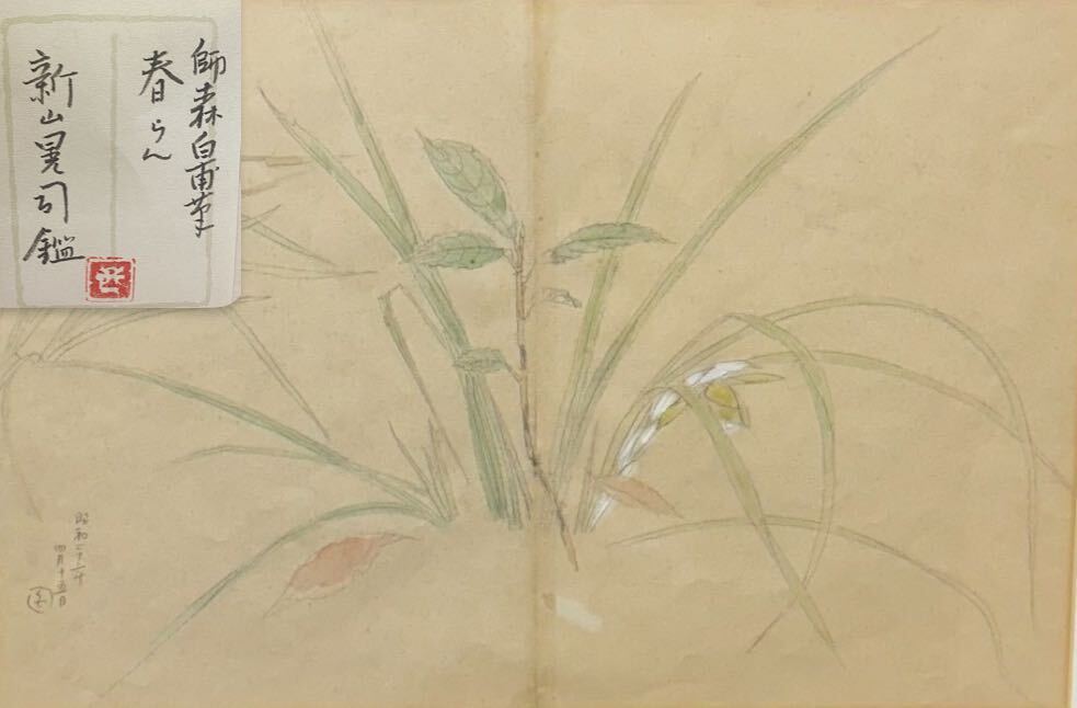 真作/新山晃司/牡丹図/桐共箱二重箱付/布袋屋掛軸HI-936 真作/新山晃司/牡丹図/桐共箱二重箱付/布袋屋掛軸HI-936 (2025