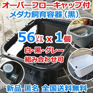 メダカ飼育容器【56㍑ 白黒灰選択可1個 オーバーフローキャップ付】メダカ飼育ケース 金魚 水槽 ビオトープ 水草【五色アクア】