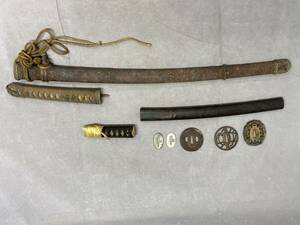 5#G/3622 guard on sword . eyes .. head sword fittings Japanese sword collection summarize 100 size 