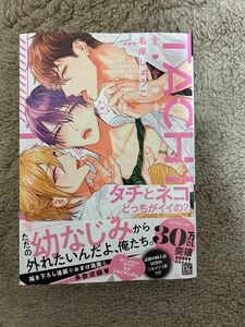 タチとネコどっちがイイの？ ★ 名原しょうこ ６月新刊