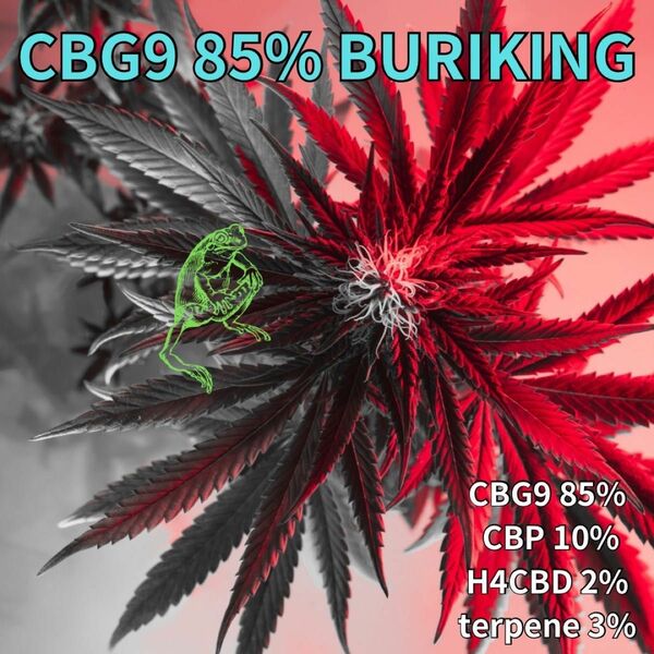CBG9 85% 1ml BURIKING