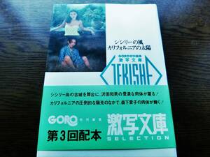 篠山紀信 激写文庫　「シシリーの風　カルフォルニアの太陽」 沢田和美、森下愛子