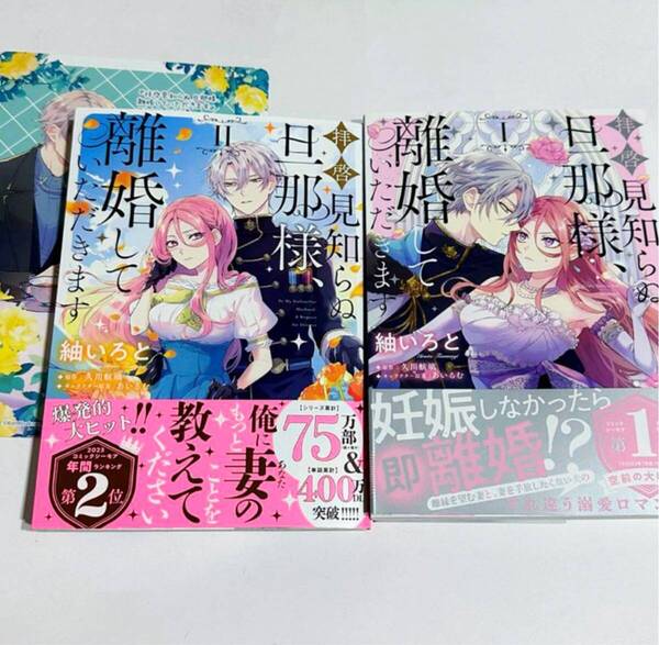 「拝啓見知らぬ旦那様、離婚していただきます」紬いろと