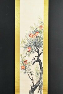 Art hand Auction [Authentic] B3183 Ogawa Sen'i Pomegranate and Small Bird Paper, Hand-painted Buddhist Painter, Western Painter, Manga Artist, Japanese Painter, Kyoto native, Painting, Japanese painting, Flowers and Birds, Wildlife