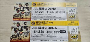 甲子園 阪神vsDeNA SMBCシート1塁側　6月22日　ペア　トラフェス