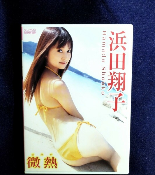☆浜田翔子 中古DVD『微熱』グラビアアイドル タレント 女優 youtuber はまだしょうこ