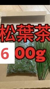 松葉茶　600g 即購入可　即日発送　朝取れ　農薬：栽培期間中不使用