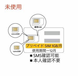 データ通信 1 GB/月　SMS確認可能　SIMカード　プリペイドSIM 12枚セット