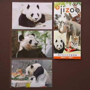 【旦旦】 王子動物園 タンタン 2001 2007 2018 ポストカード 3枚セット パンフレット