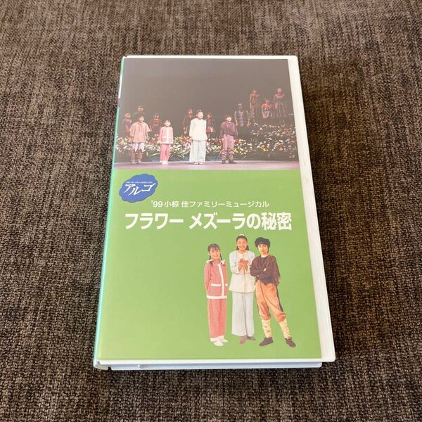 ★山崎育三郎出演★アルゴミュージカル「フラワー メズーラの秘密」ビデオ