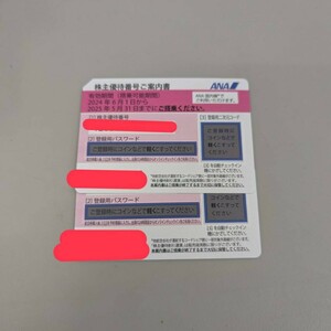 ANA 全日空 株主優待券　有効期限25年5月31日２枚セット　2108