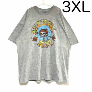 輸入古着 Grateful Dead グレイトフル・デッド Tシャツ ビッグサイズ バンT ロックT