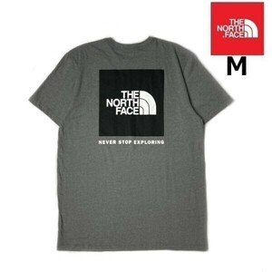 1円～!売切!【正規新品】THE NORTH FACE S/S BOX NSE TEE 半袖 Tシャツ US限定 ボックスロゴ 男女兼用 アウトドア 登山(M)グレー 180902-13