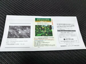 阪急阪神ホールディングス 株主回数乗車証 グループ優待券4回カード2024年6月1日から2025年5月31日まで有効