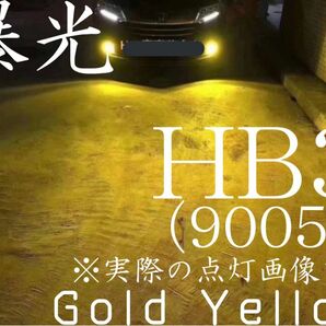 HB3 LED フォグランプ ゴールドイエロー H72 50w 爆光 9005 黄 フォグ イエロー レモン 12V バルブ