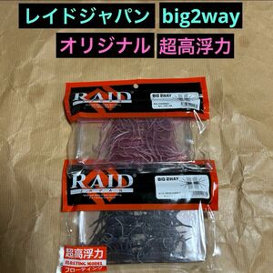 レイドジャパンbig2way オリジナル&超高浮力　人気カラー新品セット