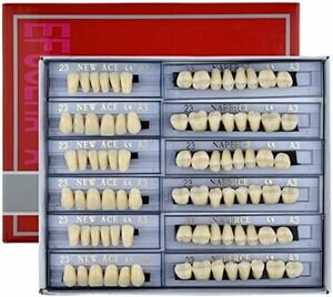 歯科用アクリル 168個セット 樹脂 義歯キット ハロウィンホラーの小道具 ケア ホワイト義歯23 A3 アップ＆ダウン歯科