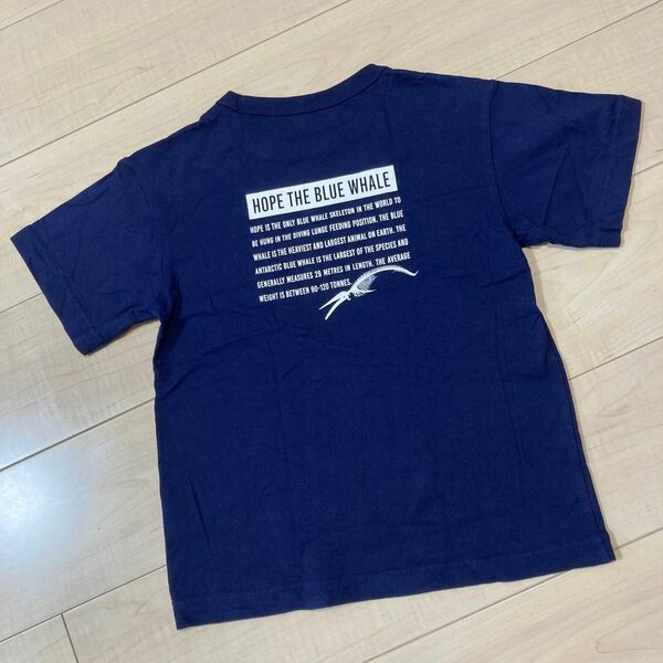 ユニクロ　NATURAL HISTORY MUSEUM コラボ　クジラ　鯨　Tシャツ　サイズ130 キッズ 半袖Tシャツ