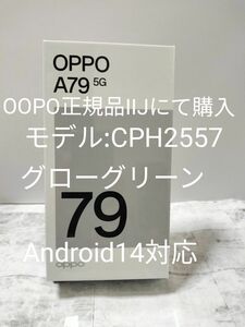 【週末限定価格 極美品 新品未開封品】OOPO A79 5G グローグリーン OOPO正規品 モデル:CHP2557