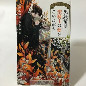 黒妖精は聖騎士の愛をこいねがう チェンジリング/沙野風結子