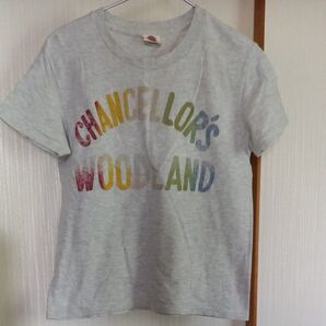 Tシャツ 半袖 半袖Tシャツ グレー