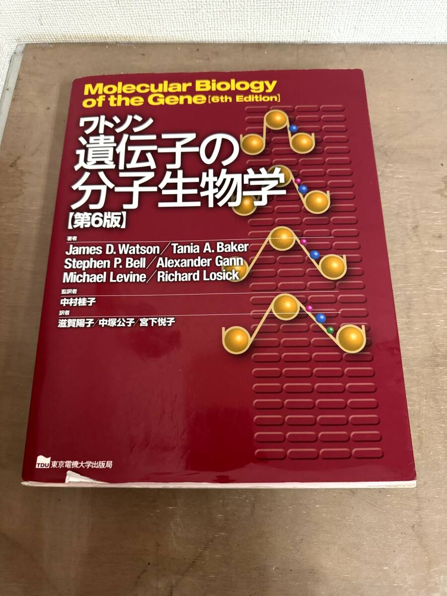 2025年最新】Yahoo!オークション -ワトソン遺伝子の分子生物学 2025年最新】Yahoo!オークション -ワトソン遺伝子の分子生物学