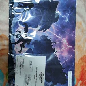 ワンピースカード 2024年CS本戦 チャンピオンシップ プレイマット 海外版