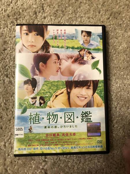 邦画DVD 「植物図鑑」運命の恋、ひろいました 岩田剛典 高畑充希