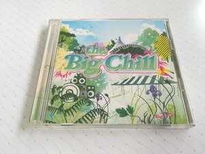 THE BIG CHILL V.A. UK盤 2CD UK チルアウト系フェスティバルコンピCD　　4-0238