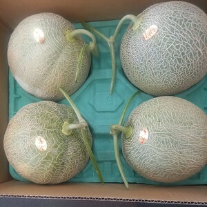 2 prompt decision! Hokkaido production .. melon piece selection 4 sphere from 5 sphere approximately 8.