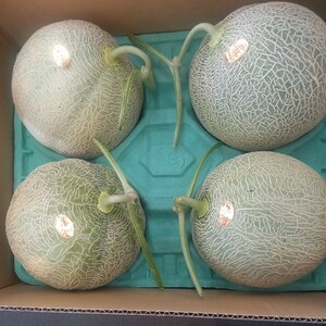 b prompt decision! Hokkaido production .. melon piece selection 4 sphere from 5 sphere approximately 8.