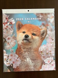 DOGウォールカレンダー　壁掛けカレンダー　2024年