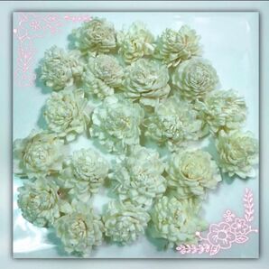 ( ソーラーFlower/ラメ付ジニア・20輪入!/未使用!) ソーラーフラワー ハーバリウム 花材 ( 値下不可 )