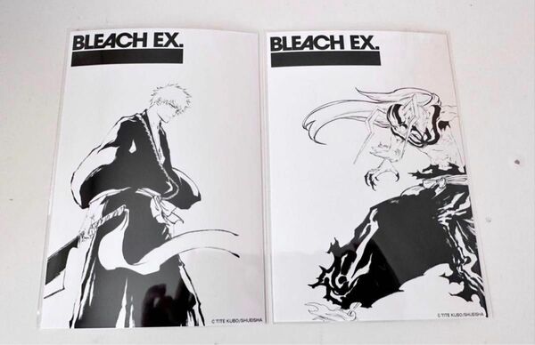 原画展BLEACH EX. オリジナルブロマイド黒崎一護と黒崎一護（虚)セット