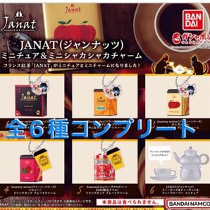 JANAT (ジャンナッツ )ミニチュア& ミニシャカシャカチャーム　全6種コンプリート　ガシャポン