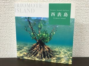 西表島　Nature Sound Gallery【CD】