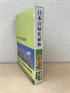 日本の帰化植物　清水建美／編　平凡社